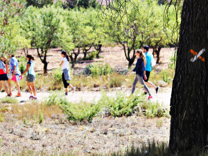 Quetzal Project · Julio 2016